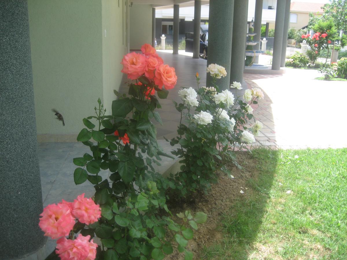 Guest House Vila Mimoza Ülgün Dış mekan fotoğraf