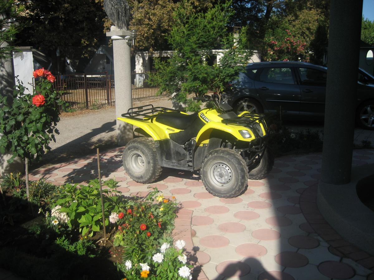 Guest House Vila Mimoza Ülgün Dış mekan fotoğraf